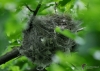 Filename=016_fotowilga~37.JPG
Filesize=263KB
Dimensions=700x500
Date added=Jun 13, 2017 016_fotowilga~37.JPG