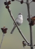 Filename=016_fotowilga~43.JPG
Filesize=192KB
Dimensions=499x700
Date added=Jan 02, 2018 016_fotowilga~43.JPG