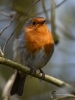 Filename=016_fotowilga~48.JPG
Filesize=235KB
Dimensions=525x700
Date added=Jul 27, 2018 016_fotowilga~48.JPG