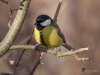 Filename=016_fotowilga~51.JPG
Filesize=238KB
Dimensions=700x525
Date added=Jan 05, 2019 016_fotowilga~51.JPG