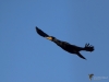 Filename=016_fotowilga~52.JPG
Filesize=189KB
Dimensions=700x525
Date added=Feb 07, 2019 016_fotowilga~52.JPG