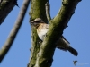 Filename=016_fotowilga~53.JPG
Filesize=252KB
Dimensions=700x525
Date added=Feb 24, 2019 016_fotowilga~53.JPG