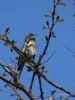 Filename=016_fotowilga~56.JPG
Filesize=227KB
Dimensions=525x700
Date added=Apr 05, 2019 016_fotowilga~56.JPG