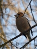 Filename=016_fotowilga~59.JPG
Filesize=246KB
Dimensions=525x700
Date added=Jun 04, 2019 016_fotowilga~59.JPG