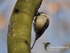 Filename=016_fotowilga~6.JPG
Filesize=90KB
Dimensions=640x480
Date added=Mar 06, 2015 016_fotowilga~6.JPG
