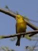 Filename=0172_fotowilga.JPG
Filesize=213KB
Dimensions=525x700
Date added=Jun 27, 2019 0172_fotowilga.JPG
