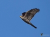 Filename=0174_fotowilga~0.JPG
Filesize=230KB
Dimensions=700x525
Date added=Oct 17, 2020 0174_fotowilga~0.JPG