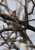 Filename=017_fotowilga~20.JPG
Filesize=76KB
Dimensions=339x480
Date added=Dec 07, 2015 017_fotowilga~20.JPG