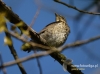 Filename=017_fotowilga~26.JPG
Filesize=70KB
Dimensions=640x475
Date added=May 11, 2016 017_fotowilga~26.JPG
