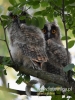 Filename=017_fotowilga~30.JPG
Filesize=77KB
Dimensions=360x480
Date added=Jul 10, 2016 017_fotowilga~30.JPG