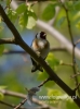 Filename=017_fotowilga~31.JPG
Filesize=53KB
Dimensions=357x480
Date added=Jul 31, 2016 017_fotowilga~31.JPG
