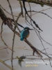 Filename=017_fotowilga~38.JPG
Filesize=56KB
Dimensions=360x480
Date added=Dec 19, 2016 017_fotowilga~38.JPG