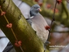Filename=017_fotowilga~40.JPG
Filesize=82KB
Dimensions=640x480
Date added=Mar 20, 2017 017_fotowilga~40.JPG
