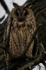 Filename=017_fotowilga~43.JPG
Filesize=266KB
Dimensions=466x700
Date added=Jun 06, 2017 017_fotowilga~43.JPG