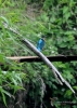 Filename=017_fotowilga~47.JPG
Filesize=284KB
Dimensions=499x700
Date added=Dec 02, 2017 017_fotowilga~47.JPG