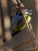 Filename=017_fotowilga~53.JPG
Filesize=232KB
Dimensions=525x700
Date added=Feb 26, 2018 017_fotowilga~53.JPG