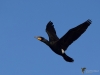 Filename=017_fotowilga~59.JPG
Filesize=213KB
Dimensions=700x525
Date added=Feb 07, 2019 017_fotowilga~59.JPG