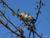Filename=017_fotowilga~62.JPG
Filesize=242KB
Dimensions=700x525
Date added=Apr 04, 2019 017_fotowilga~62.JPG