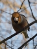 Filename=017_fotowilga~63.JPG
Filesize=236KB
Dimensions=525x700
Date added=Jun 04, 2019 017_fotowilga~63.JPG