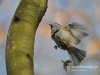 Filename=017_fotowilga~9.JPG
Filesize=92KB
Dimensions=640x480
Date added=Mar 02, 2015 017_fotowilga~9.JPG