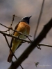 Filename=0180_fotowilga.JPG
Filesize=215KB
Dimensions=525x700
Date added=Mar 04, 2019 0180_fotowilga.JPG
