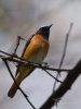 Filename=0187_fotowilga.JPG
Filesize=207KB
Dimensions=525x700
Date added=Mar 05, 2019 0187_fotowilga.JPG