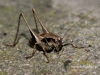 Filename=018_fotowilga~36.JPG
Filesize=115KB
Dimensions=640x480
Date added=Jan 12, 2018 018_fotowilga~36.JPG