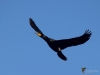Filename=018_fotowilga~45.JPG
Filesize=193KB
Dimensions=700x525
Date added=Feb 09, 2019 018_fotowilga~45.JPG