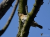 Filename=018_fotowilga~46.JPG
Filesize=233KB
Dimensions=700x525
Date added=Feb 26, 2019 018_fotowilga~46.JPG