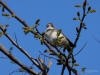 Filename=018_fotowilga~50.JPG
Filesize=234KB
Dimensions=700x525
Date added=Apr 03, 2019 018_fotowilga~50.JPG
