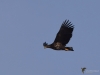 Filename=018_fotowilga~52.JPG
Filesize=166KB
Dimensions=700x525
Date added=May 24, 2019 018_fotowilga~52.JPG