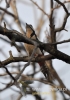 Filename=018_fotowilga~9.JPG
Filesize=78KB
Dimensions=339x480
Date added=Dec 22, 2015 018_fotowilga~9.JPG