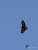 Filename=0196_fotowilga~70.JPG
Filesize=204KB
Dimensions=525x700
Date added=May 18, 2020 0196_fotowilga~70.JPG