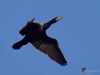 Filename=0199_fotowilga.JPG
Filesize=179KB
Dimensions=700x525
Date added=Jul 09, 2019 0199_fotowilga.JPG