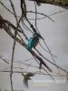Filename=019_fotowilga~27.JPG
Filesize=57KB
Dimensions=360x480
Date added=Dec 25, 2016 019_fotowilga~27.JPG