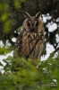 Filename=019_fotowilga~35.JPG
Filesize=266KB
Dimensions=466x700
Date added=Jun 04, 2017 019_fotowilga~35.JPG