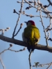 Filename=019_fotowilga~44.JPG
Filesize=217KB
Dimensions=525x700
Date added=Jan 02, 2018 019_fotowilga~44.JPG