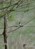 019_fotowilga~45.JPG