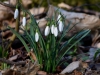 Filename=019_fotowilga~48.JPG
Filesize=270KB
Dimensions=700x525
Date added=Apr 16, 2018 019_fotowilga~48.JPG