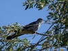 Filename=019_fotowilga~51.JPG
Filesize=313KB
Dimensions=700x525
Date added=Jun 11, 2018 019_fotowilga~51.JPG
