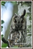 Filename=019_fotowilga~7.JPG
Filesize=83KB
Dimensions=326x480
Date added=Jan 16, 2015 019_fotowilga~7.JPG