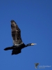 Filename=0205_fotowilga~0.JPG
Filesize=205KB
Dimensions=525x700
Date added=Jul 09, 2019 0205_fotowilga~0.JPG