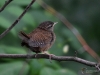 Filename=0206_fotowilga~0.JPG
Filesize=289KB
Dimensions=700x525
Date added=Aug 21, 2019 0206_fotowilga~0.JPG