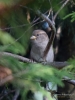 Filename=0207_fotowilga~35.JPG
Filesize=251KB
Dimensions=525x700
Date added=Feb 02, 2018 0207_fotowilga~35.JPG