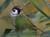 Filename=0208_fotowilga~48.JPG
Filesize=244KB
Dimensions=700x525
Date added=Oct 21, 2019 0208_fotowilga~48.JPG