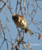 Filename=020_fotowilga~16.JPG
Filesize=82KB
Dimensions=400x480
Date added=Feb 09, 2016 020_fotowilga~16.JPG