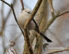 Filename=020_fotowilga~17.JPG
Filesize=94KB
Dimensions=611x480
Date added=Mar 06, 2016 020_fotowilga~17.JPG