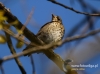 Filename=020_fotowilga~21.JPG
Filesize=67KB
Dimensions=640x476
Date added=May 15, 2016 020_fotowilga~21.JPG