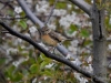 Filename=0211_fotowilga~33.JPG
Filesize=292KB
Dimensions=700x525
Date added=May 10, 2017 0211_fotowilga~33.JPG