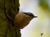 Filename=0215_fotowilga.JPG
Filesize=231KB
Dimensions=700x525
Date added=Mar 02, 2019 0215_fotowilga.JPG